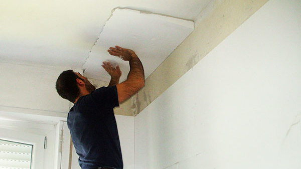 Muffa: come risanare le pareti di casa - Quality Building Verona